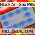 Black Ant Sex Pills 21